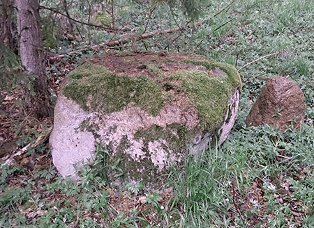 Камень в честь принца Фридриха Карла Прусского
